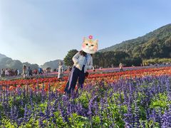 -广州市石门国家森林公园