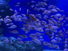 -成都浩海立方海洋公园