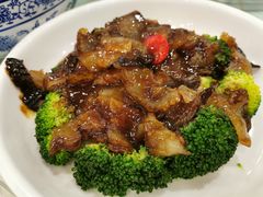 翡翠鲍汁扒海参-江南村酒家