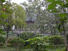 -杭州花家山庄