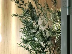 -新紫霞养生·影院足道·SPA(金山区店)