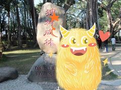 -瑞丽独树成林风景区