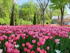 -廊坊文化艺术中心