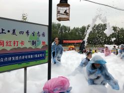 -上美四季动物农场