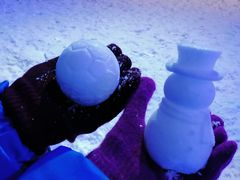 -宁波冰雪大世界(北仑区)