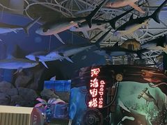 -烟台海昌鲸鲨海洋公园