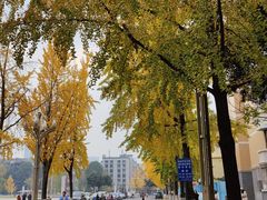 -四川大学(望江校区)