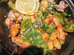 -前海沿·青岛菜(五四广场永旺店)