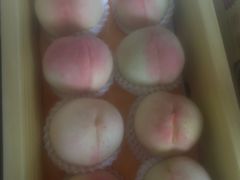 -南汇水蜜桃采摘(大团店)