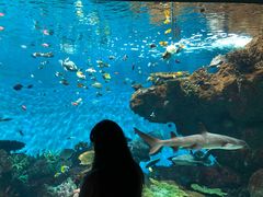-鹿儿岛水族馆