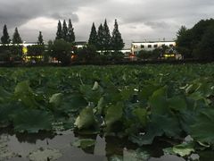-潜口民宅博物馆