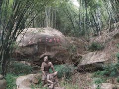 -铁山坪森林公园