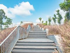 -白石龙音乐公园