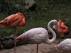 -昆明动物园