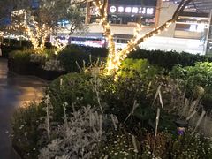 -首开·龙湖成都西宸天街