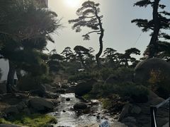 -罗红摄影艺术馆