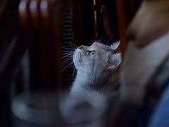 -不舍昼夜咖啡馆
