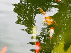 -园林格兰云天大酒店-太极名厨中餐厅