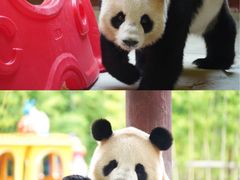 -杭州野生动物世界