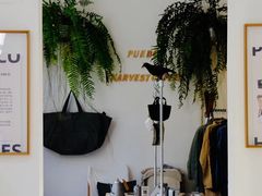 -收获咖啡HARVEST RESERVE(苍山店)