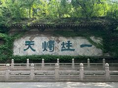 -鲁镇