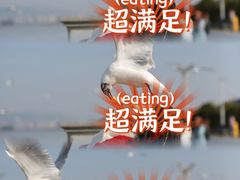 -海埂大坝