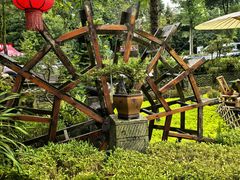 -青城甲(青城山店)