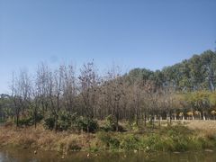 -东郊湿地公园