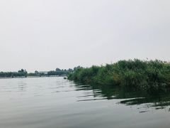 -白洋淀景区