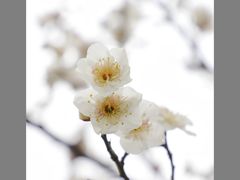 -蠡湖大桥公园