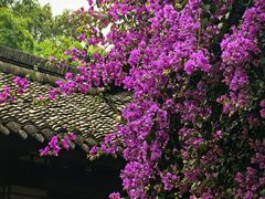 -成都杜甫草堂博物馆