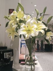 -Kraemer paris·苏豪路易士·嘉玛发廊