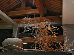 -曲廊院(东四十一条店)