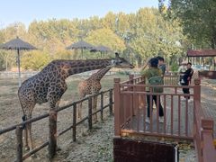 -北京野生动物园