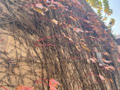 -半岛1919创意园区