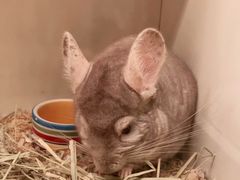 -龙猫仔乐园(惠福东路店)