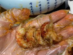 -虾恋蛤蟆功