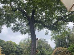 -大明寺素斋