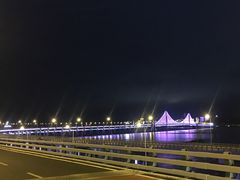 -星海湾跨海大桥