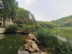 -河南省黄河迎宾馆