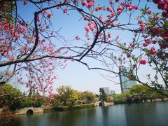 -无锡蠡湖国家湿地公园-蠡园
