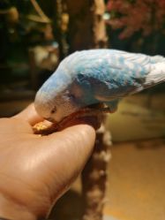 -酷嗒动物文化乐园(cutezoo西溪乐天城店)