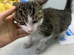 -宠瑞康动物医院