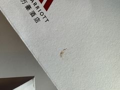 -深圳中洲万豪酒店