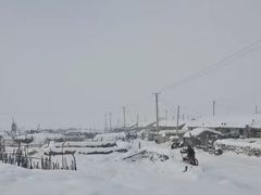 -乌兰布统草原