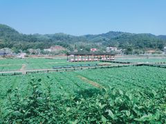 -红山村