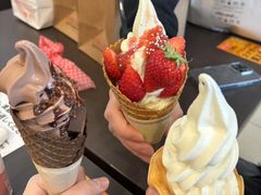 -三井奥特莱斯购物城(木更津店)