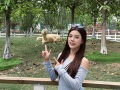 -盈香心动乐园