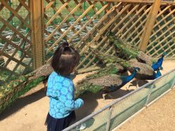 -萌宠亲子动物乐园(槐房万达店)