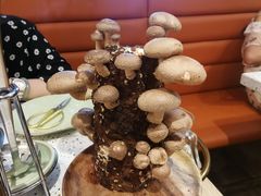 -椰子营·椰子鸡火锅(万象里店)